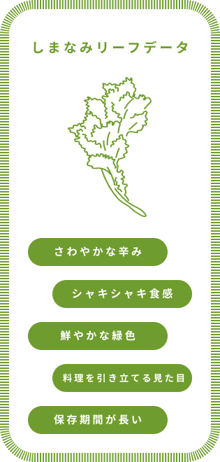 しまなみリーフデータ さわやかな辛み シャキシャキ食感 鮮やかな緑色 料理を引き立てる見た目 保存期間が長い